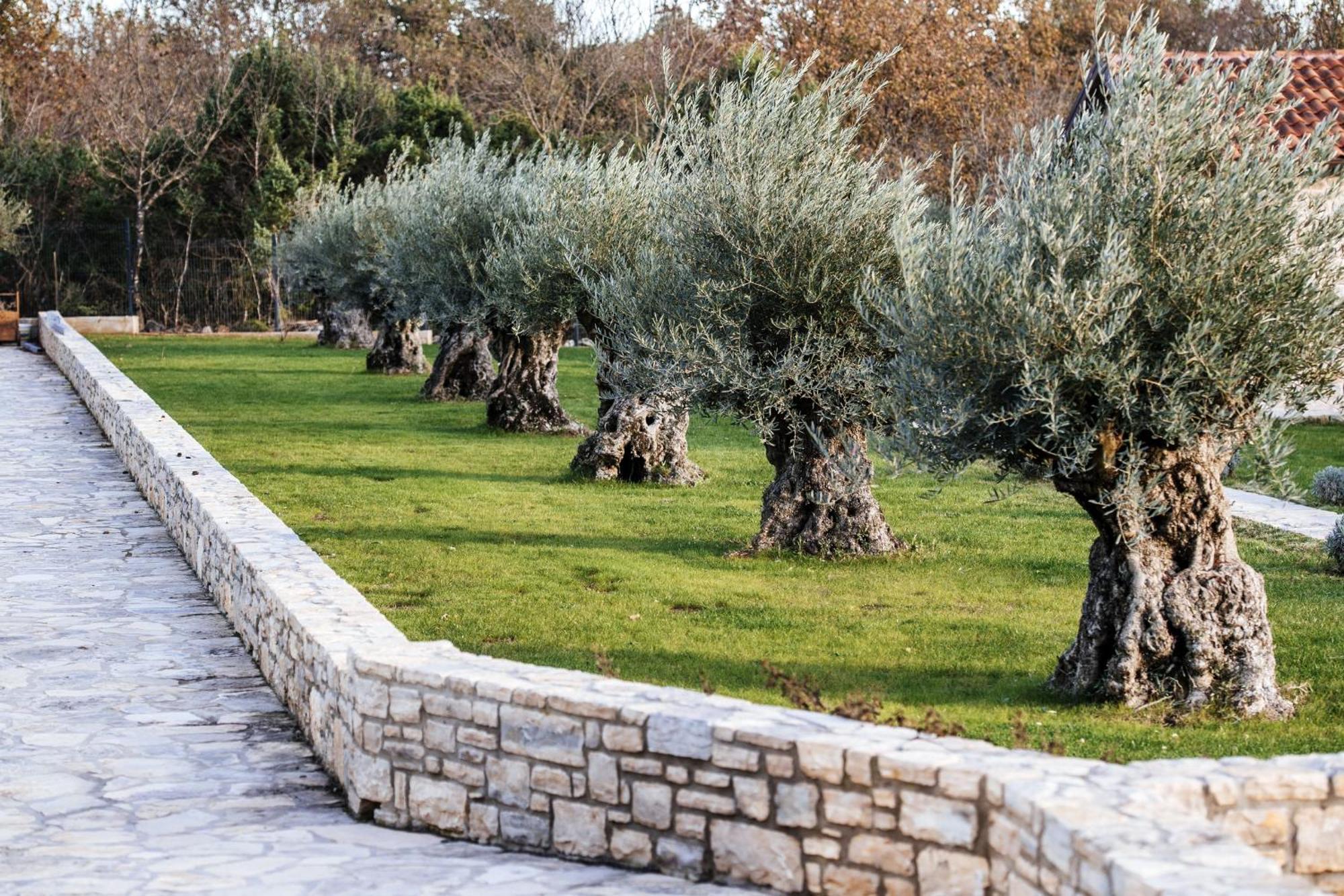 Villa Marta Poljica-Brig Dış mekan fotoğraf